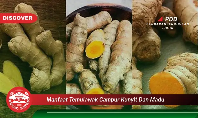 manfaat temulawak campur kunyit dan madu