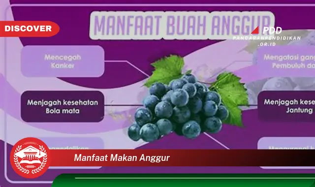 manfaat makan anggur