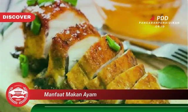 manfaat makan ayam