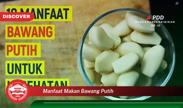 manfaat makan bawang putih