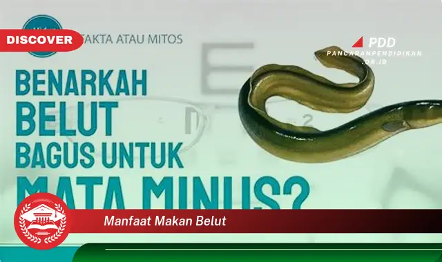 manfaat makan belut