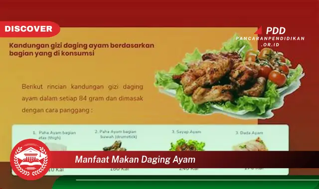 manfaat makan daging ayam