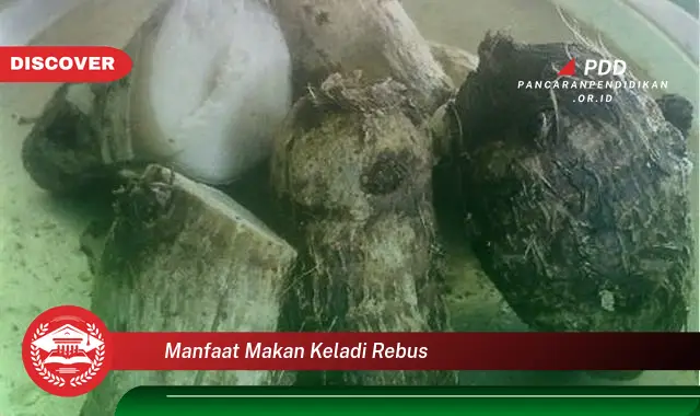 manfaat makan keladi rebus