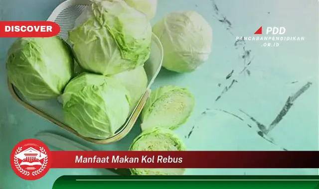 manfaat makan kol rebus