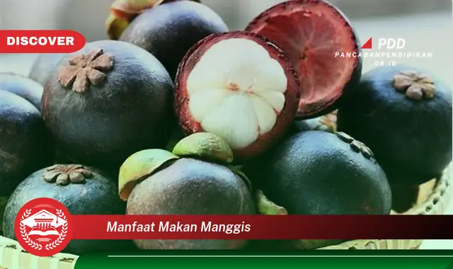 Banyak yang Belum Tahu, Inilah 30 Manfaat Makan Manggis yang Bikin Penasaran