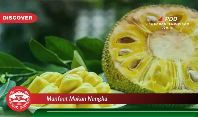 manfaat makan nangka