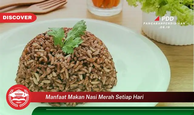 manfaat makan nasi merah setiap hari