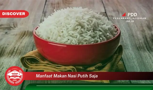 manfaat makan nasi putih saja