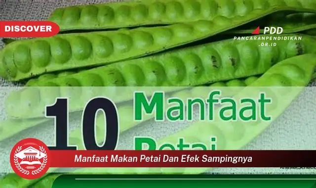 Banyak yang Belum Tau, Inilah 30 Manfaat Makan Petai dan Efek Sampingnya yang Wajib Diketahui