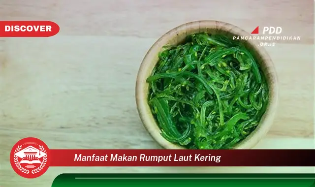 manfaat makan rumput laut kering