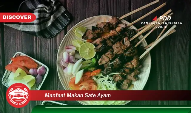 manfaat makan sate ayam