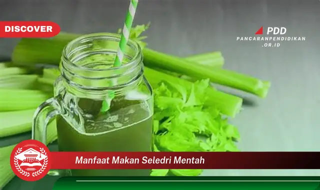 manfaat makan seledri mentah