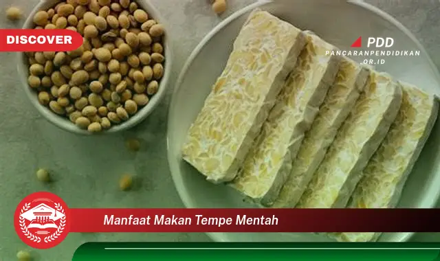 Banyak yang Belum Tau! 30 Manfaat Makan Tempe Mentah yang Bikin Penasaran