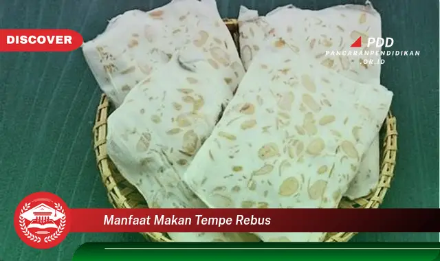 manfaat makan tempe rebus