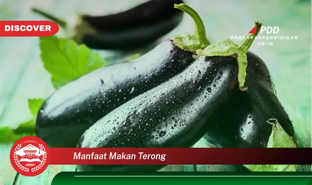 manfaat makan terong