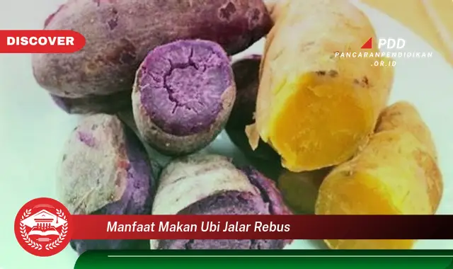 manfaat makan ubi jalar rebus