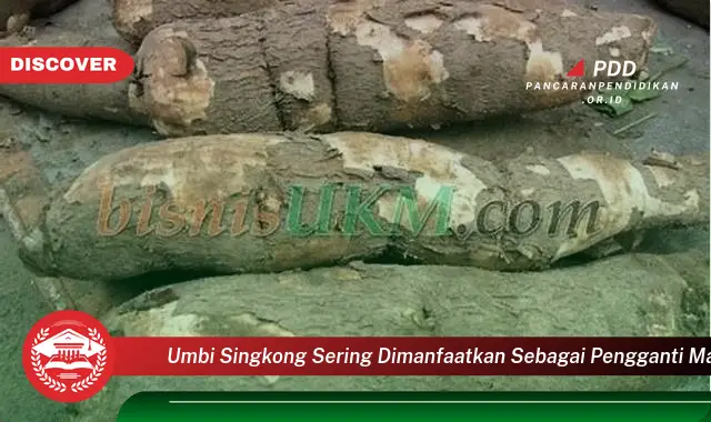 umbi singkong sering dimanfaatkan sebagai pengganti makanan pokok karena