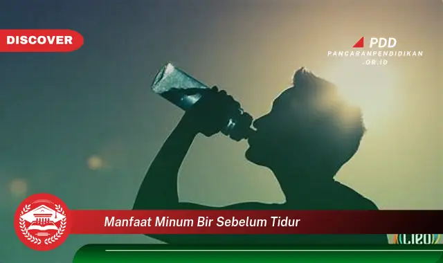 Kamu Wajib Tahu, Ini 30 Manfaat Minum Bir Sebelum Tidur yang Bikin Penasaran