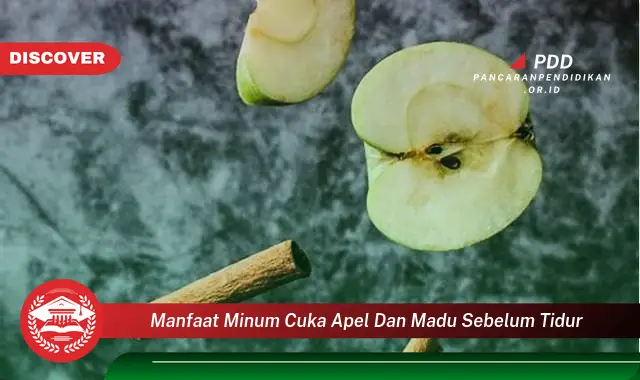 Banyak yang belum Tau, Ini Dia 30 Manfaat Minum Cuka Apel dan Madu Sebelum Tidur yang Bikin Penasaran