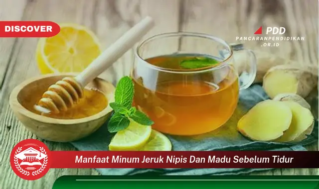 manfaat minum jeruk nipis dan madu sebelum tidur