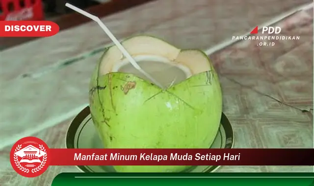 manfaat minum kelapa muda setiap hari