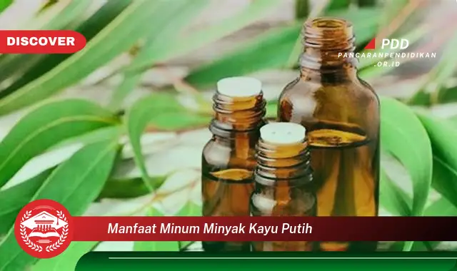 manfaat minum minyak kayu putih