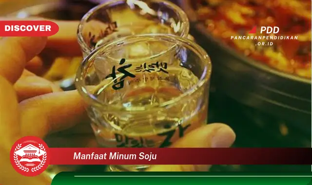 manfaat minum soju