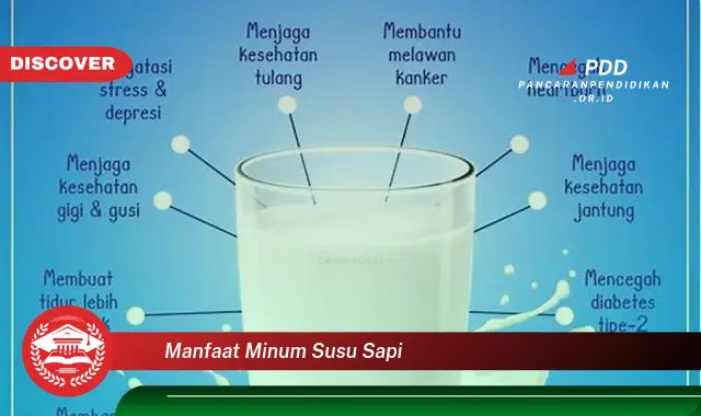 manfaat minum susu sapi