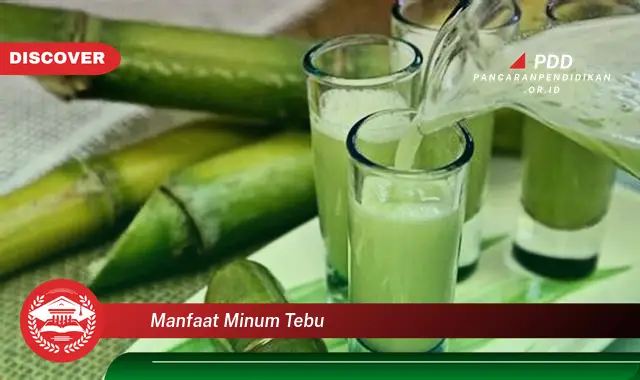 manfaat minum tebu