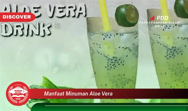 manfaat minuman aloe vera