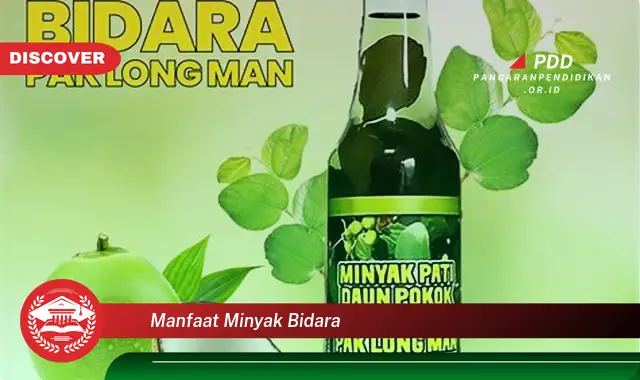 manfaat minyak bidara