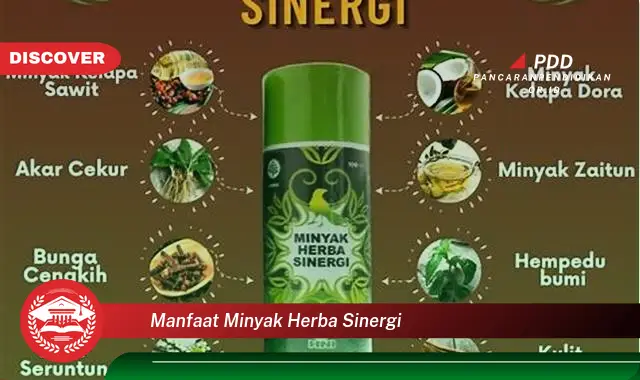 manfaat minyak herba sinergi