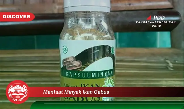 Kamu Wajib Tahu, Inilah 30 Manfaat Minyak Ikan Gabus yang Wajib Diketahui