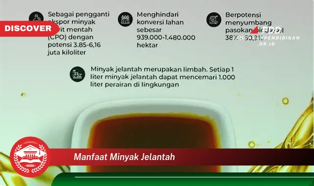 Jarang Diketahui, Ini dia 30 Manfaat Minyak Jelantah yang Bikin Penasaran!