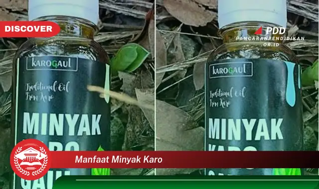 manfaat minyak karo