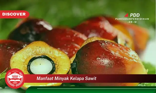 manfaat minyak kelapa sawit