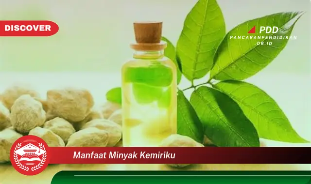 manfaat minyak kemiriku