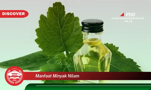 manfaat minyak nilam