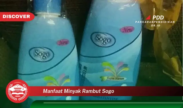 manfaat minyak rambut sogo