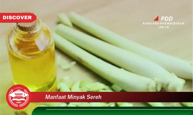 manfaat minyak sereh