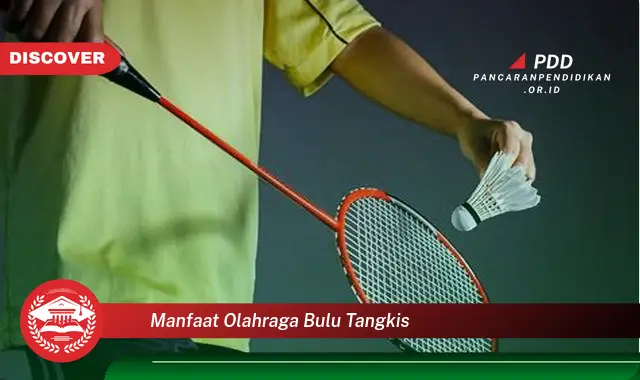 manfaat olahraga bulu tangkis