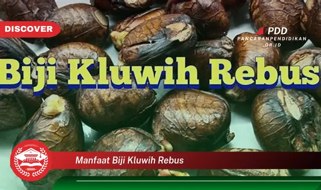 Ketahui 10 Manfaat Biji Kluwih Rebus yang Wajib Kamu Intip