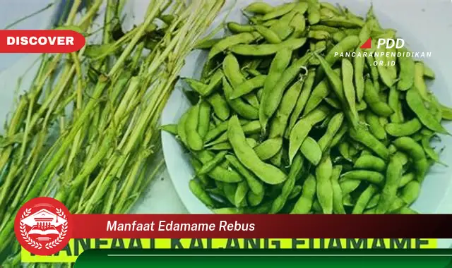 Ketahui 10 Manfaat Edamame Rebus yang Bikin Kamu Penasaran