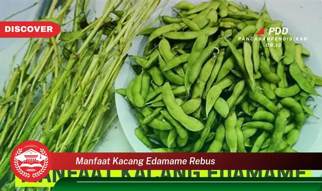 manfaat kacang edamame rebus