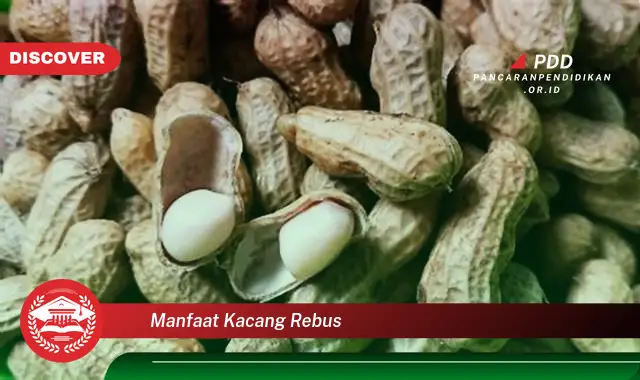 Banyak yang Belum Tau, Inilah 30 Manfaat Kacang Rebus yang Jarang Diketahui