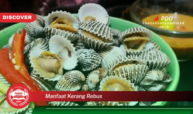 manfaat kerang rebus