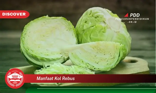 manfaat kol rebus