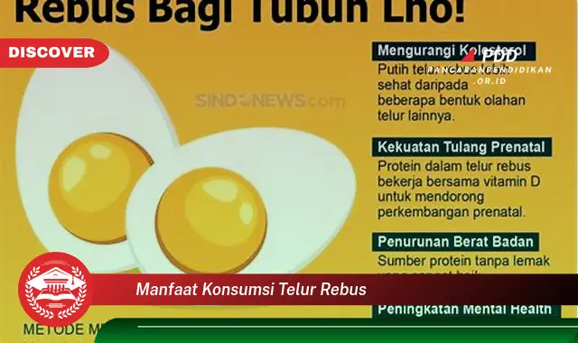 manfaat konsumsi telur rebus