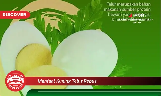 manfaat kuning telur rebus