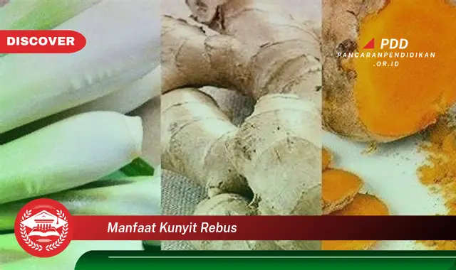 manfaat kunyit rebus